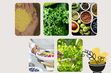 SIG 2023 Blogimages Superfood Trends 6 Desktop 1920X590