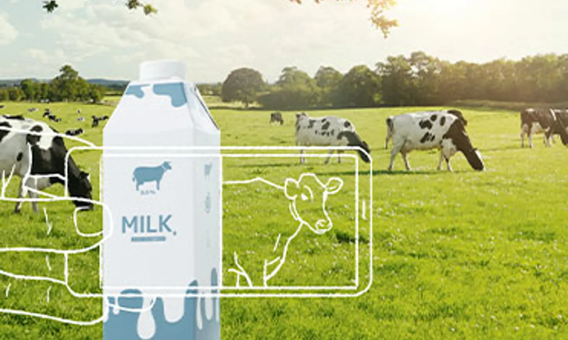Connectedpack Traceability