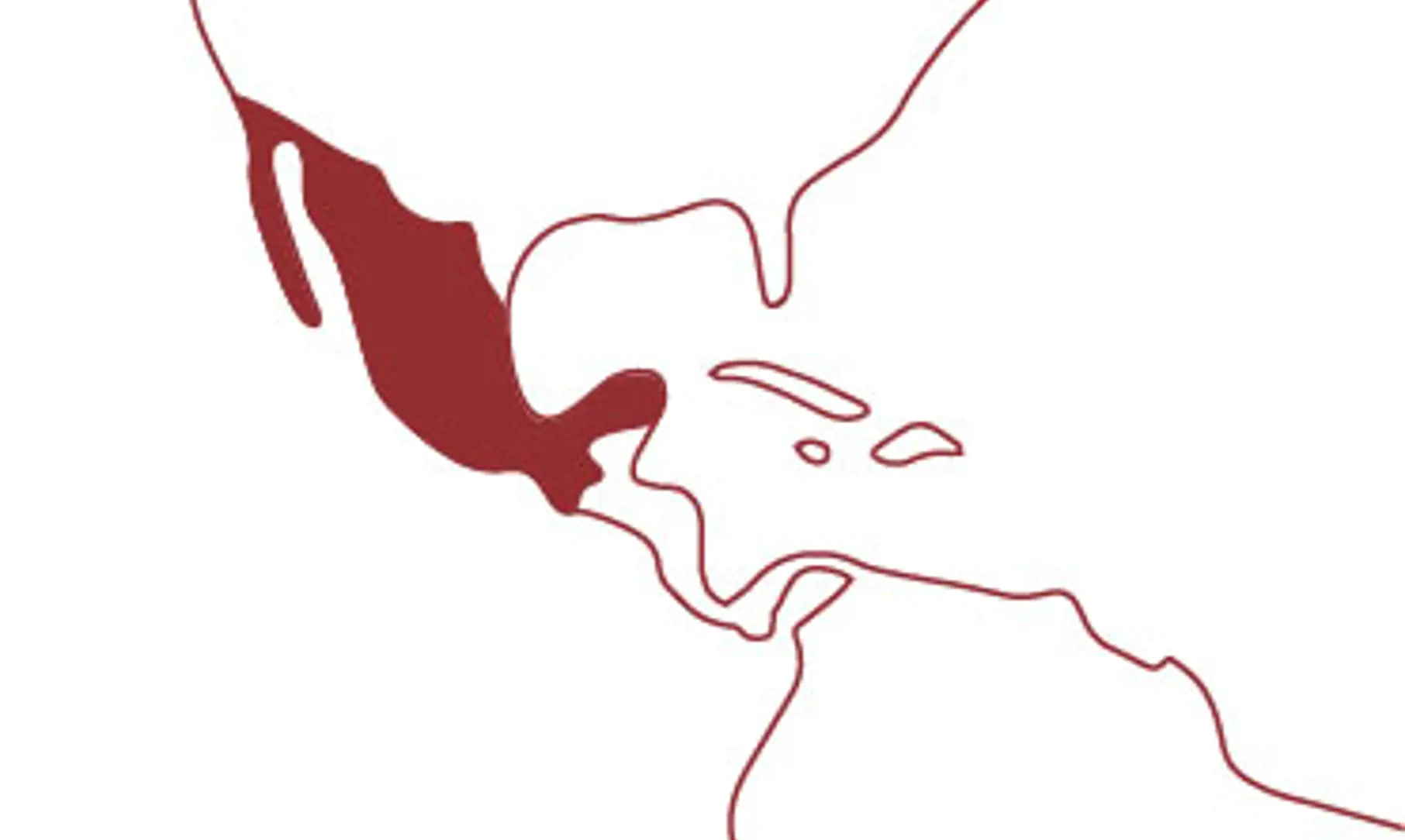 SIG 2021 Marketwatch Part1 Textimage Mexico