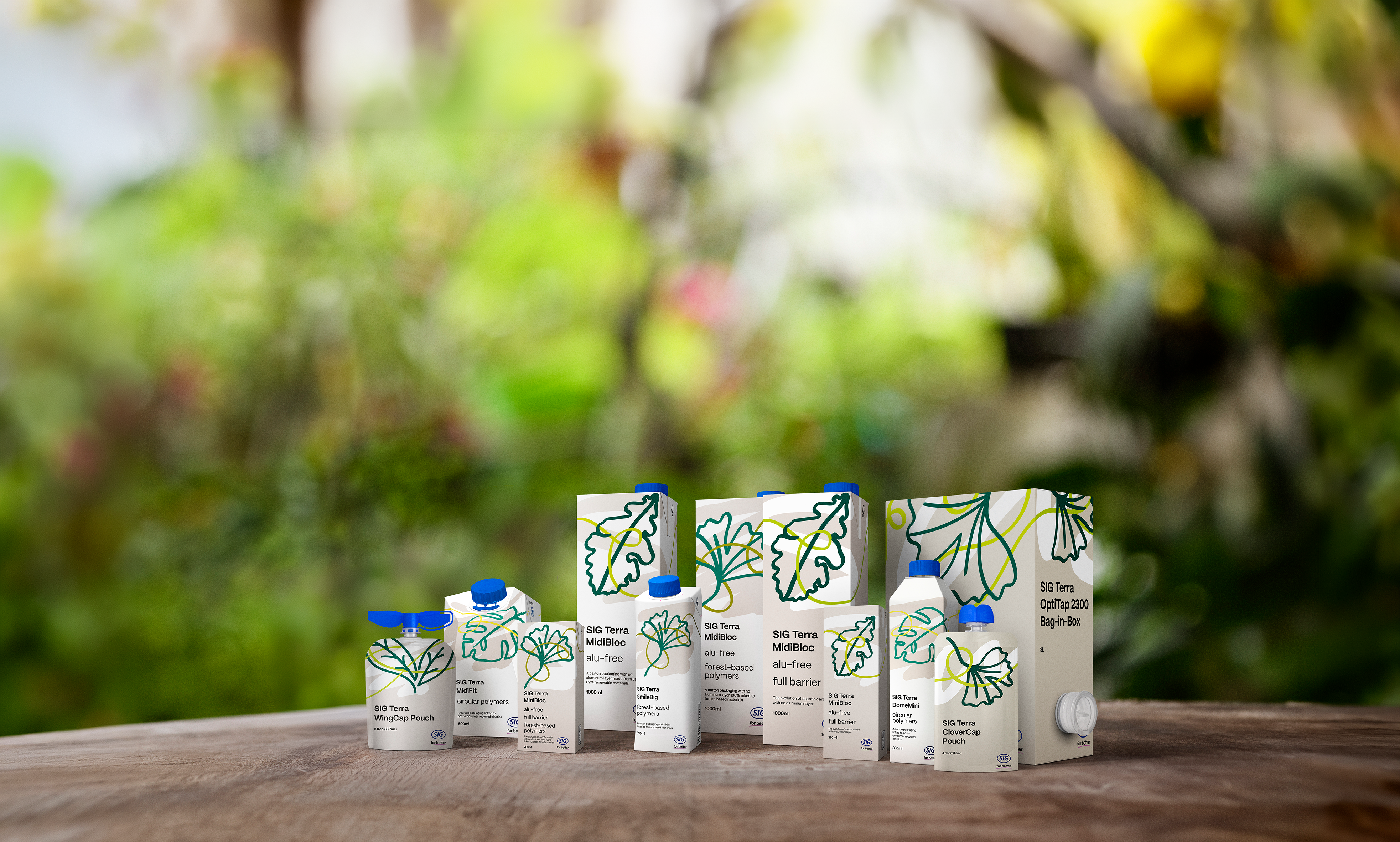 SIG sustainable packaging solutions: aseptic carton, bag-in-box, and spouted pouch