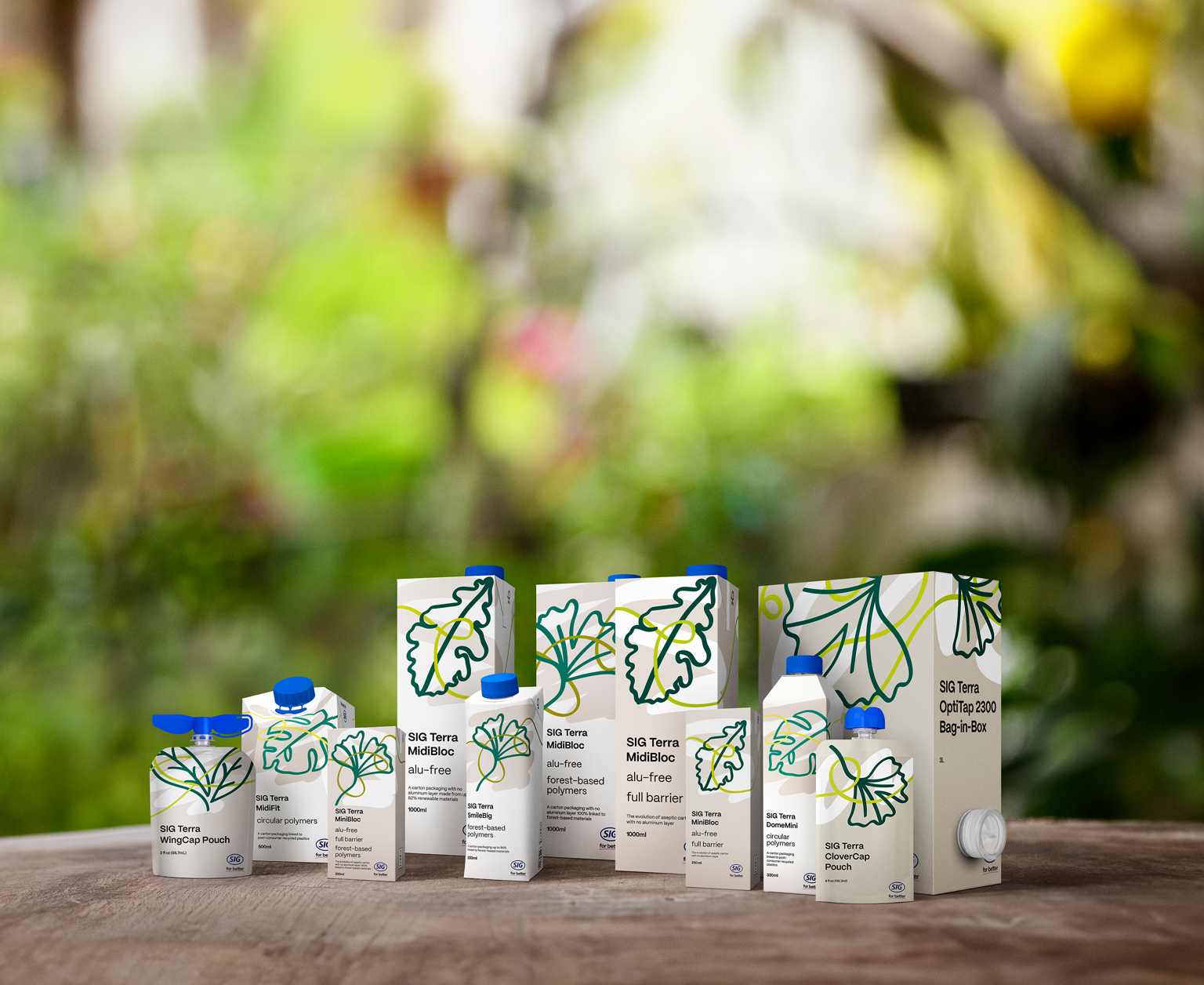 SIG sustainable packaging solutions: aseptic carton, bag-in-box, and spouted pouch