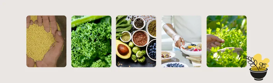 SIG 2023 Blogimages Superfood Trends 6 Desktop 1920X590
