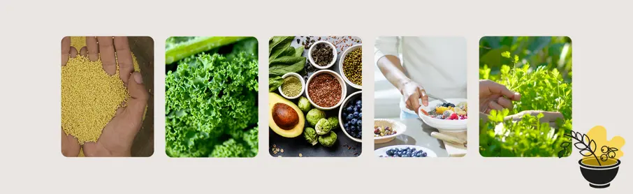 SIG 2023 Blogimages Superfood Trends 6 Desktop 1920X590