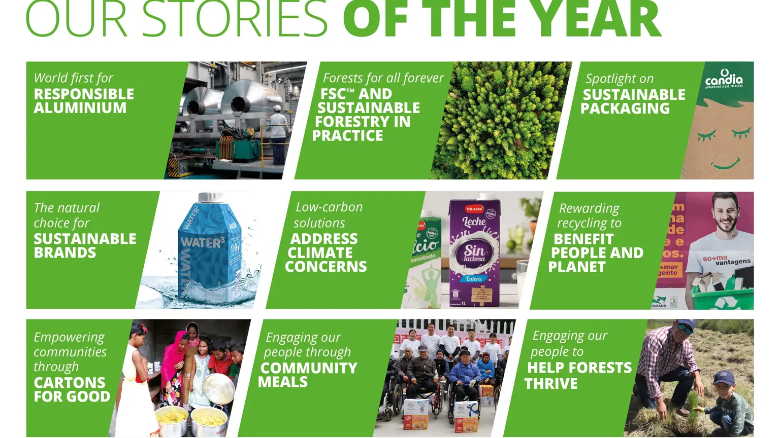 SIG Stories of the Year - rgb