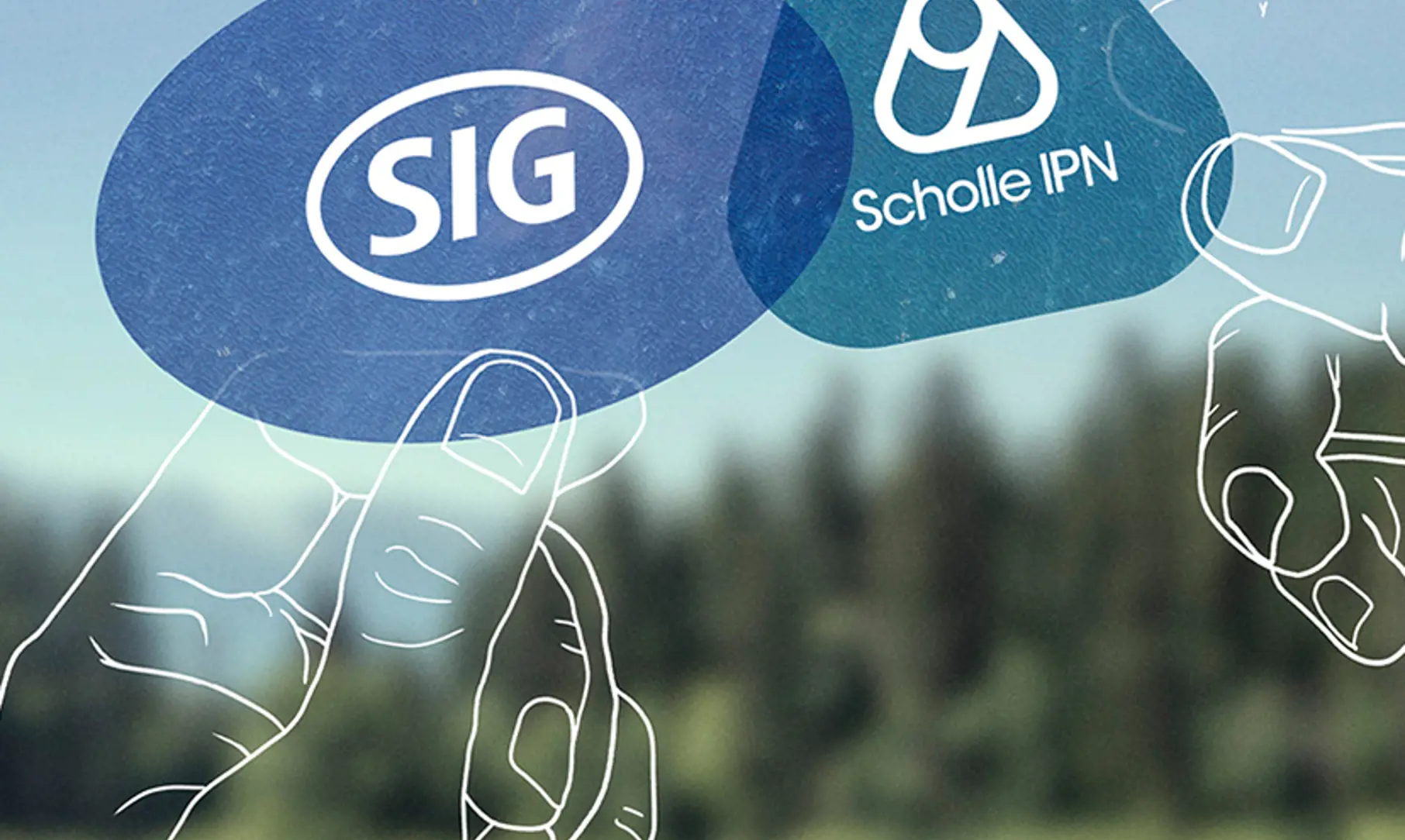 SIG Scholleipn Keyvisual Logos 550X550