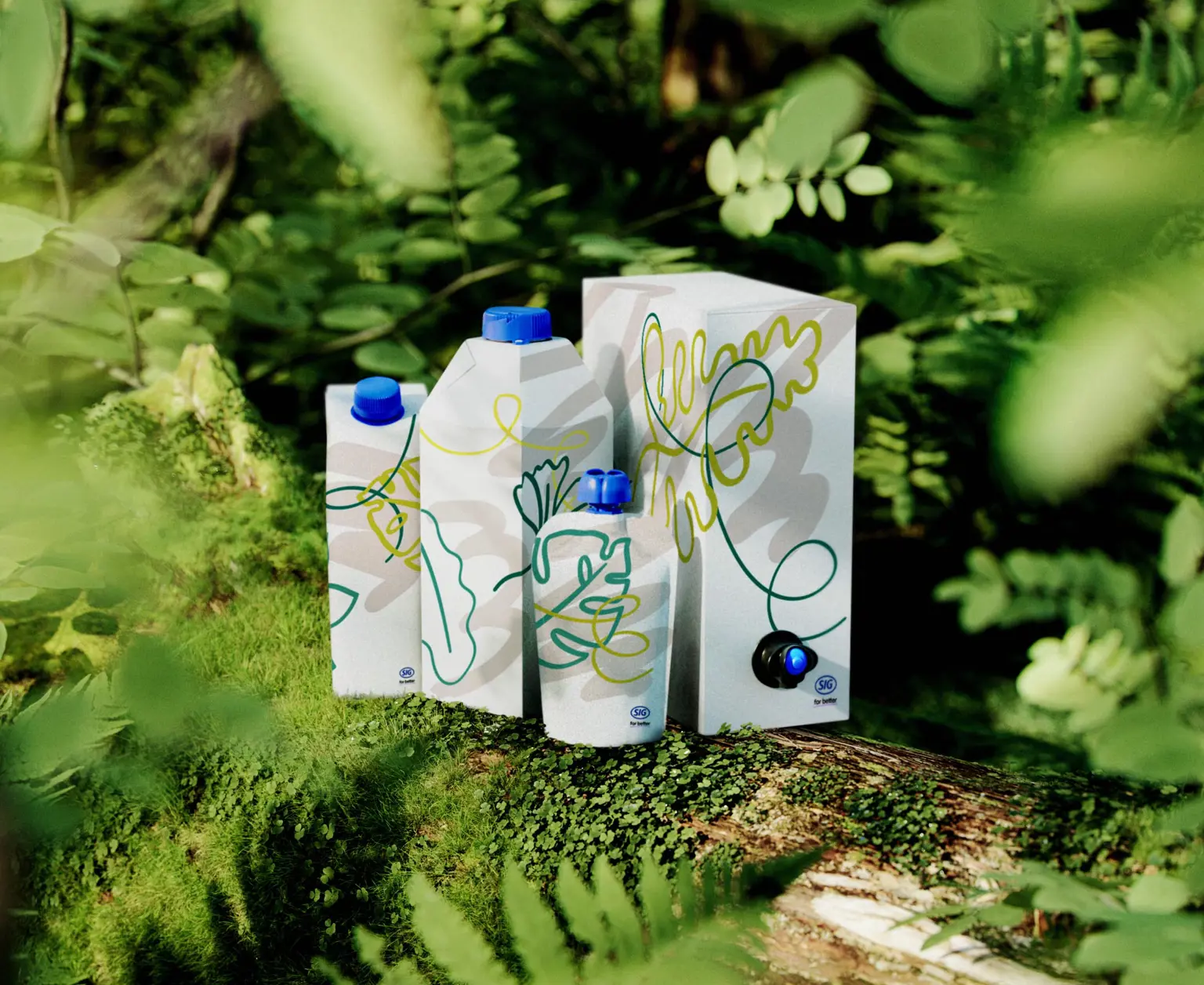 SIG sustainable packaging solutions: aseptic carton, bag-in-box, and spouted pouch
