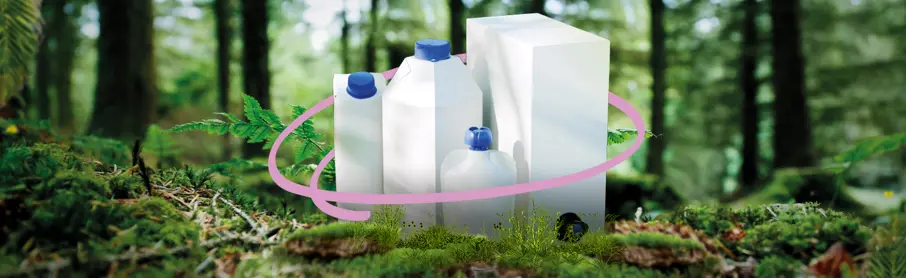 SIG Saving Forests Helping Mankind Image