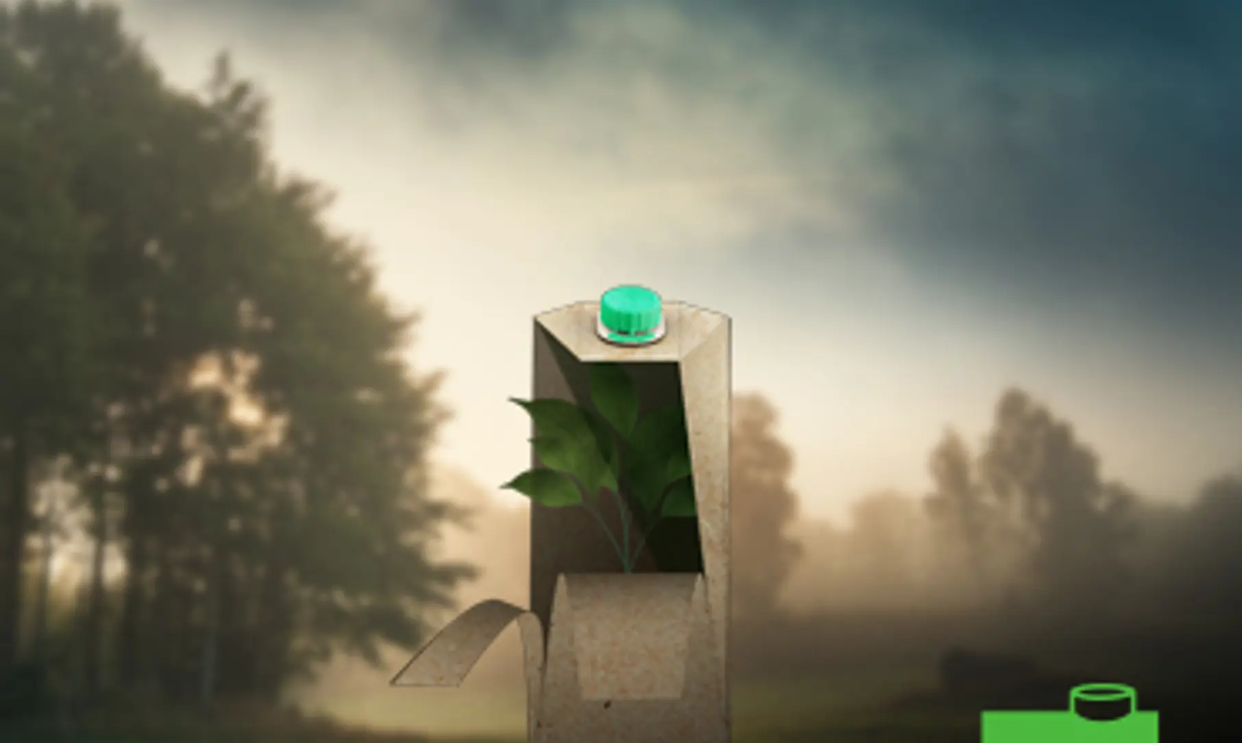 SIG 2021 CP1 Unpacking Sustainability Part6 Recap 4