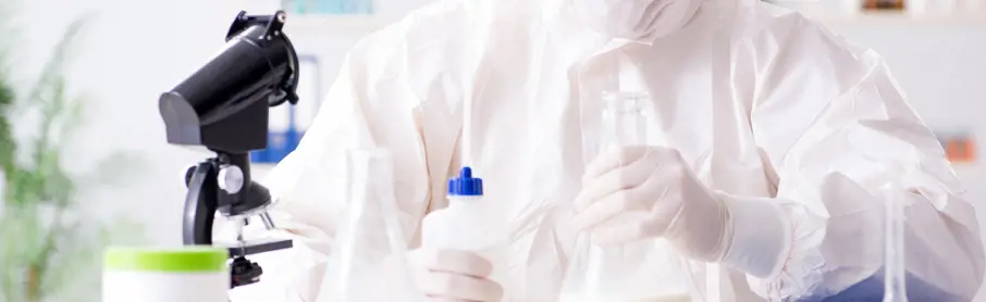 Segurança De Alimentos