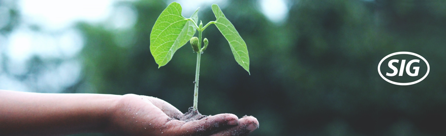 1920X590 Hero Imagen Nota1 Oct