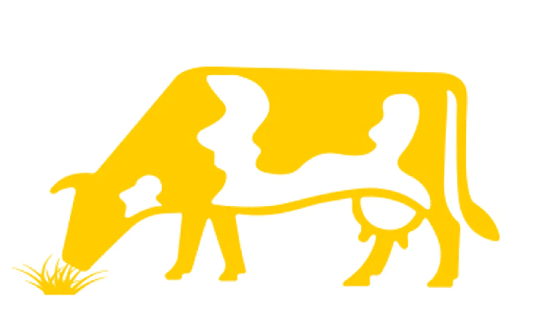 SIG CP2 21 Drivingdairy Part2 Imagetextmodul Playing To Its Strengths