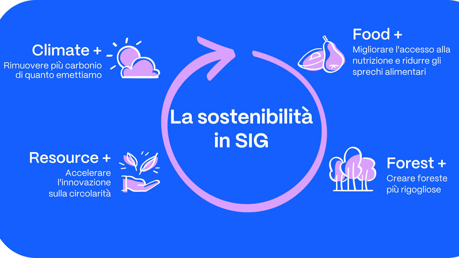 Sostenibilità in SIG combibloc