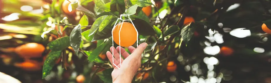 Blogrte Hero Image 1920X590