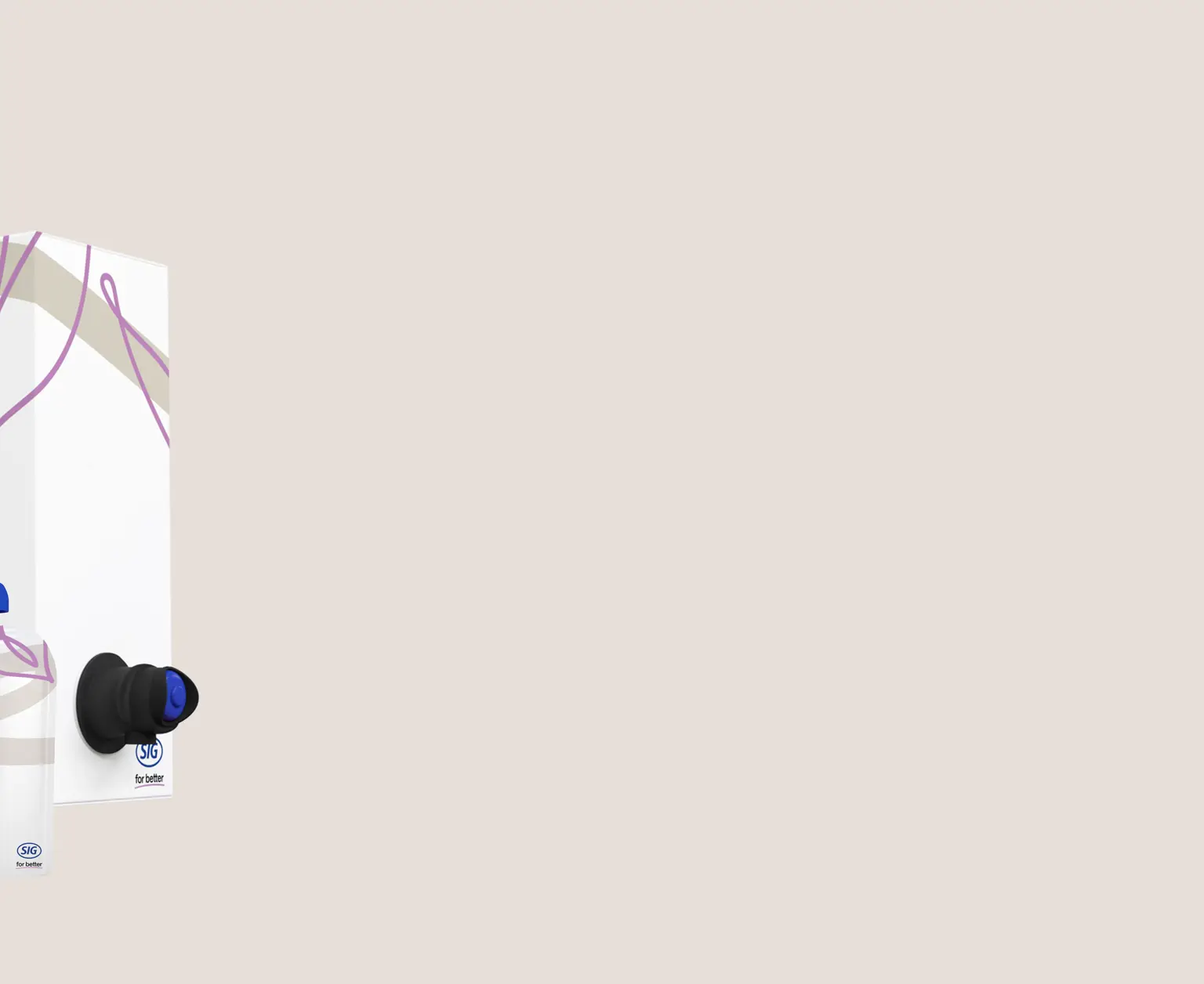 Bag-in-Box, spouted pouch, cartone per bevande