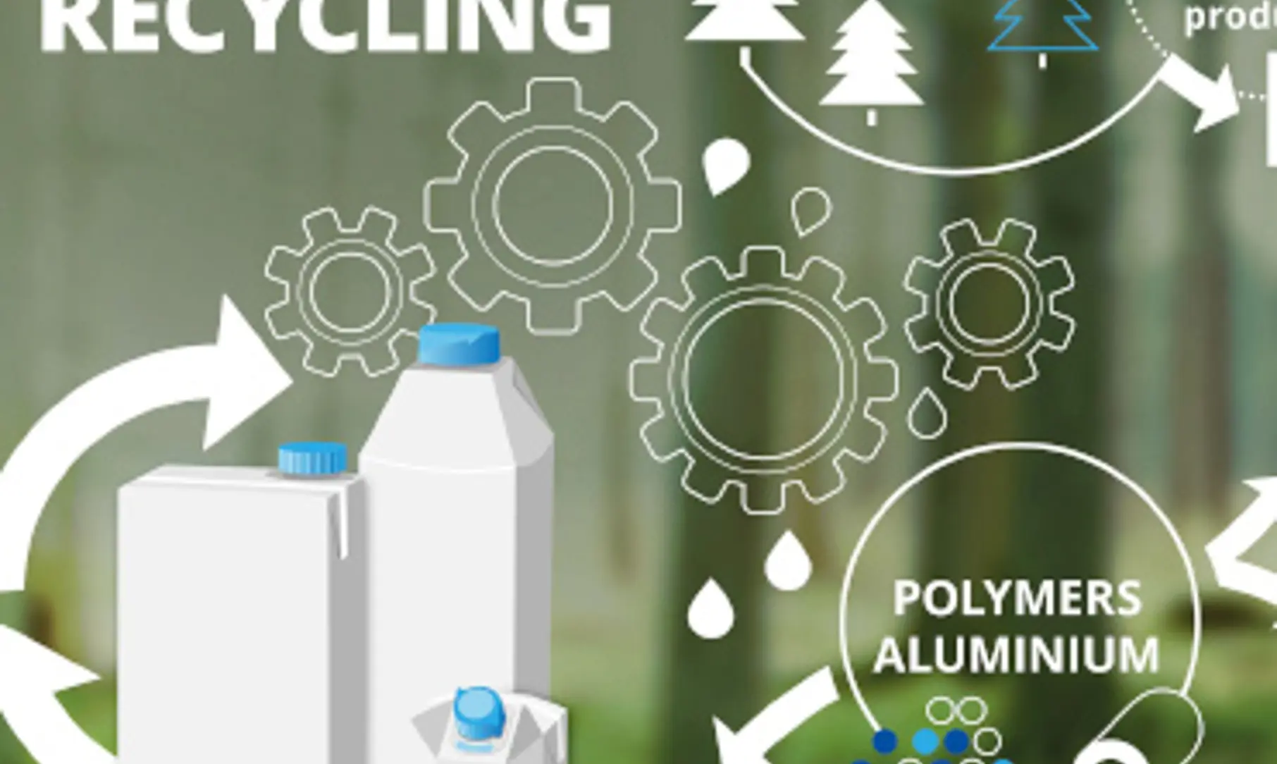 Blog2 Other Image 371X371